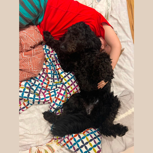Photo of Ruby