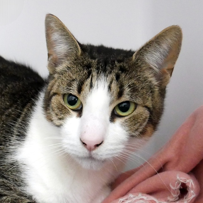 Photo of Regi Sua013863