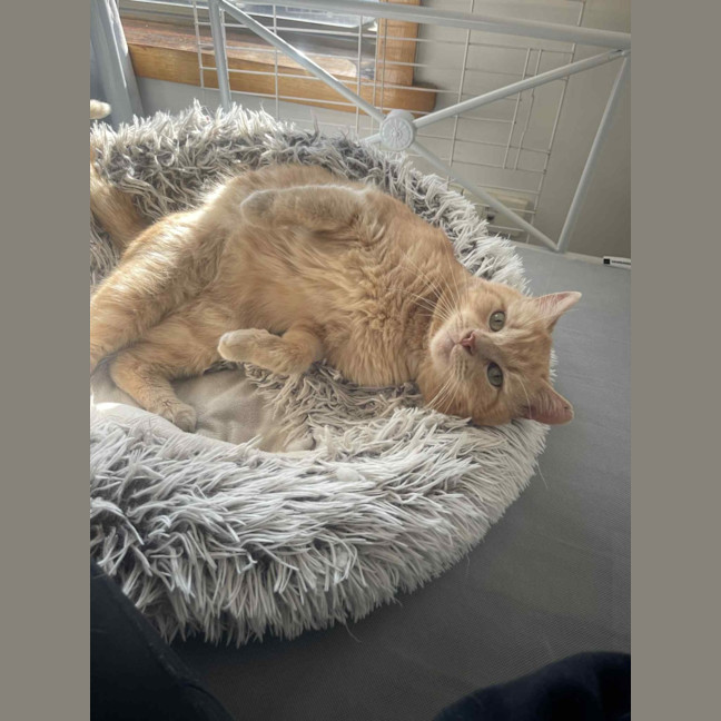 Photo of Thomas