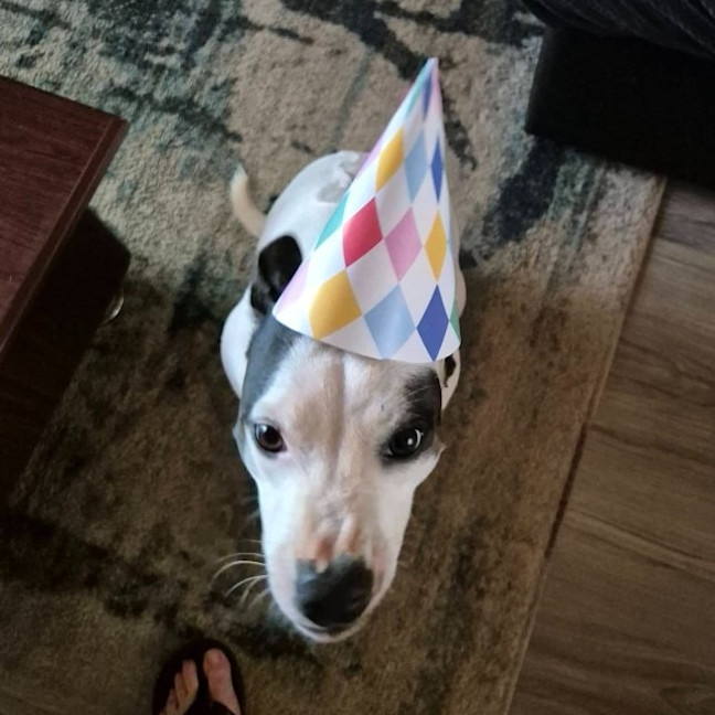 Photo of Ellie