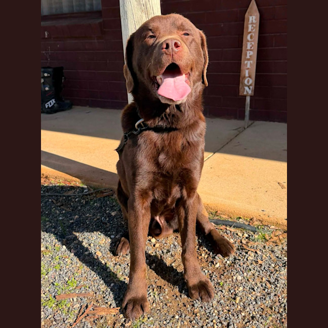 Photo of Duke