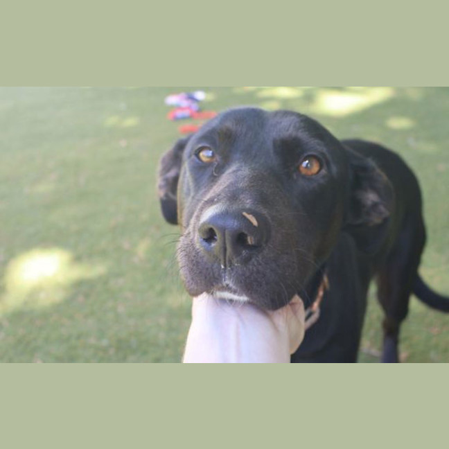 Photo of Maggie Mae