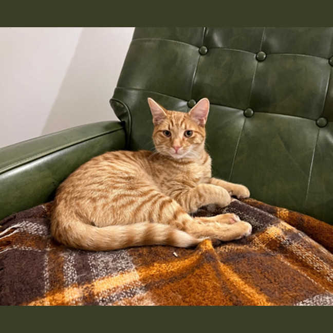 Photo of Larry
