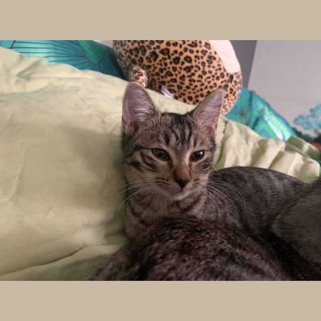 Photo of Luna
