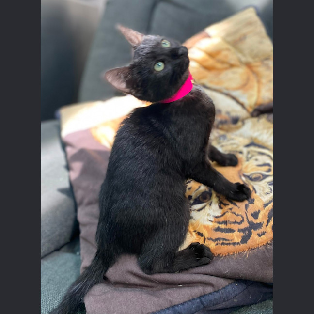 Photo of Einstein (9991)