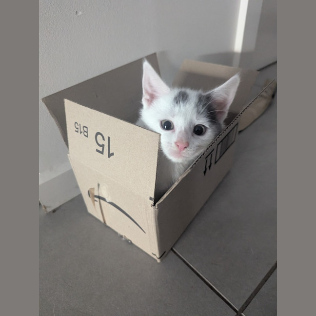 Photo of Mellie Baby