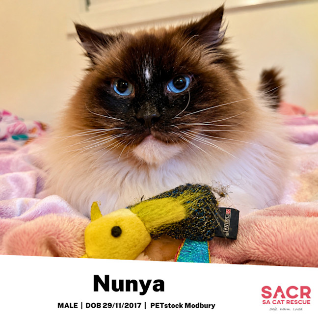 Photo of Nunya