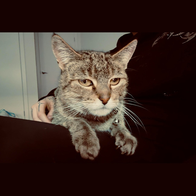 Photo of Mia