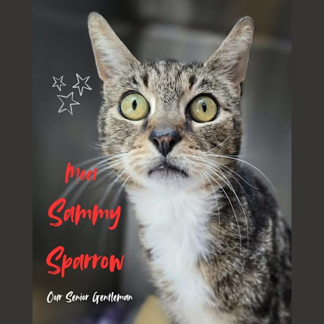 Photo of Sammy Sparrow