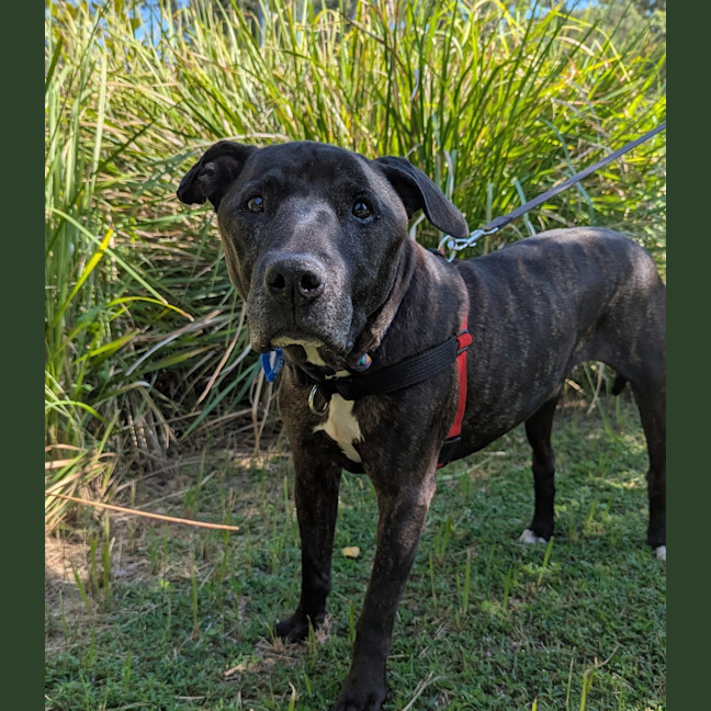 Photo of Zane
