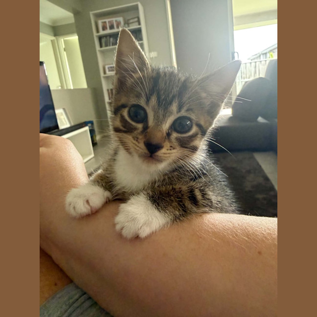 Photo of Jezebel 
