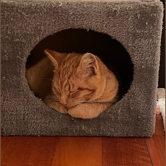 Photo of Dodge 