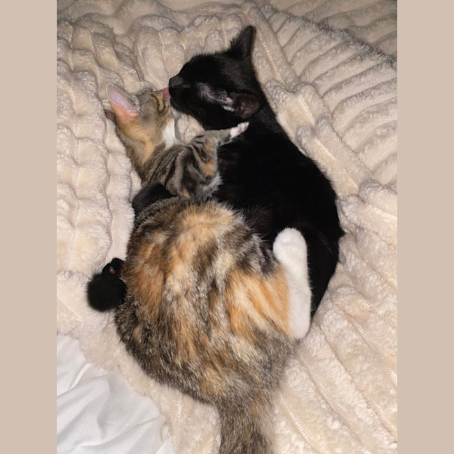 Photo of Tinkerbell & Bon Bon 