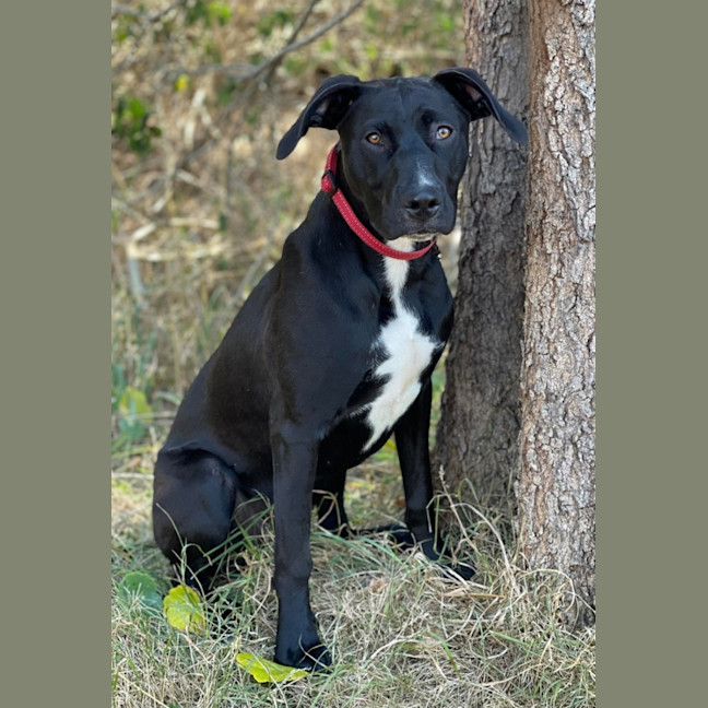 Photo of Molly