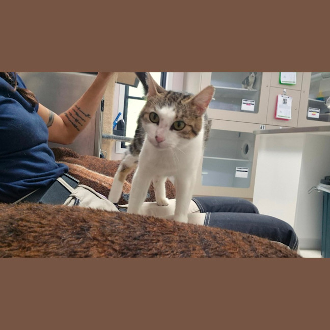 Photo of April (9172)