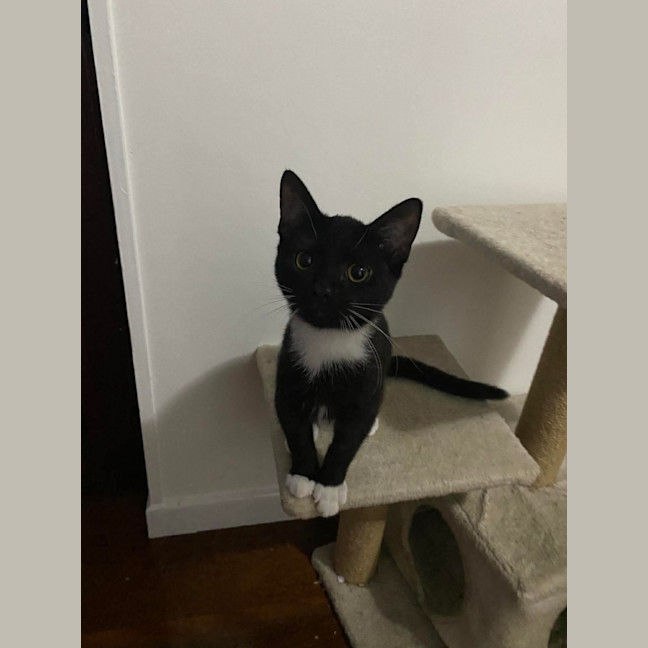 Photo of Evelyn