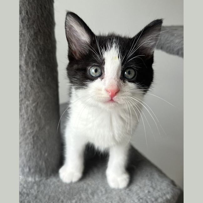 Photo of Tekapo 💙