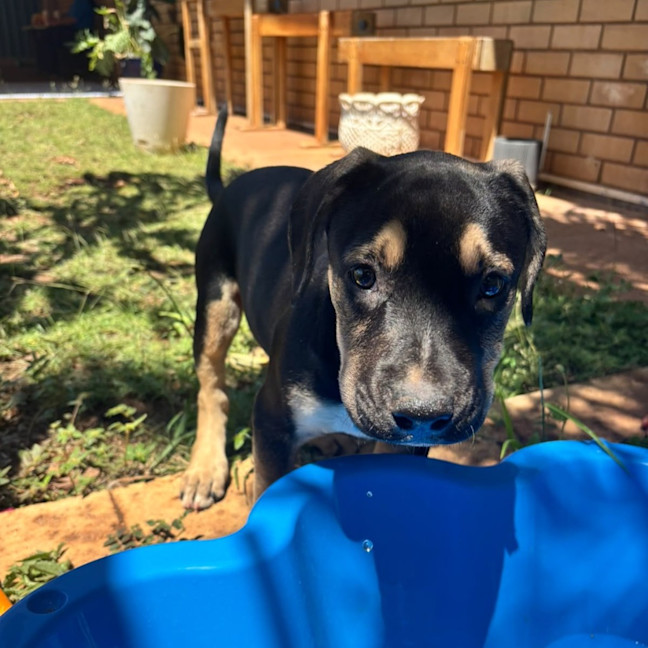 Photo of Roxy