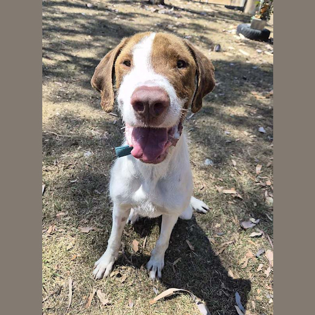 Photo of Oscar