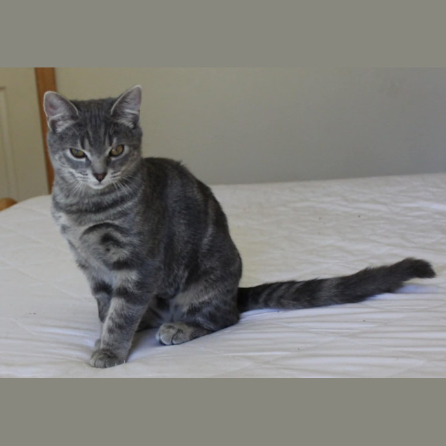 Photo of Astrid