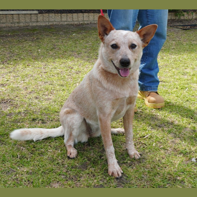 Photo of Ember