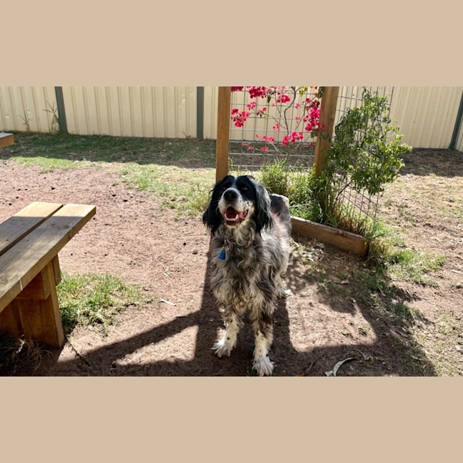 Photo of Pippa