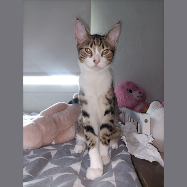 Photo of Everhart & Fairlight