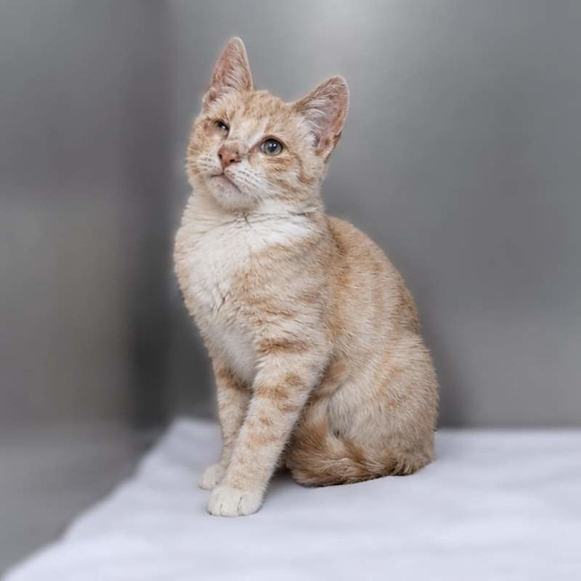 Photo of Alastor