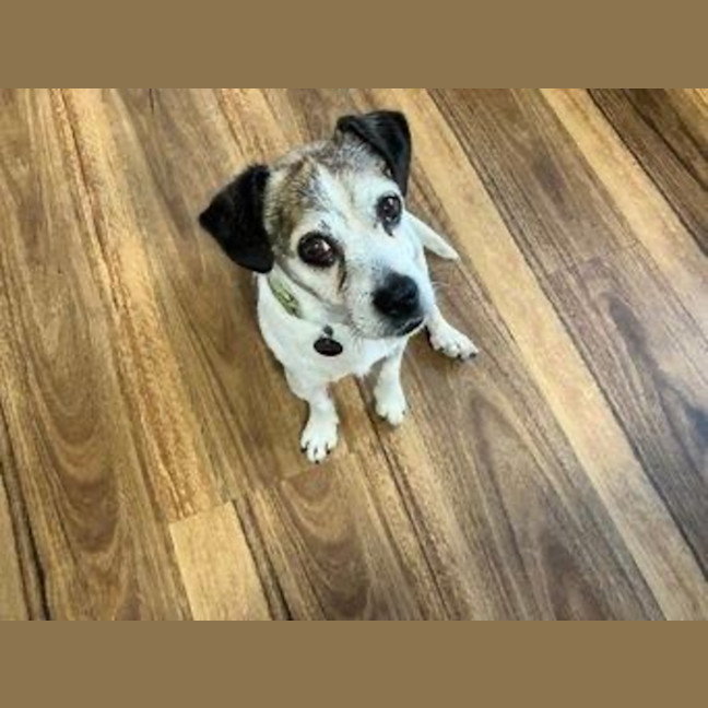 Photo of Coriolanus Snow Peggotty