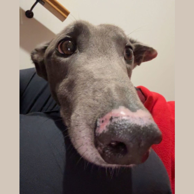 Photo of Cash