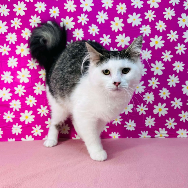 Photo of Edith   Located In Brunswick East