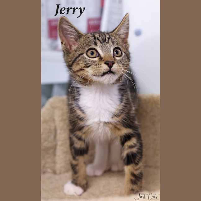 Photo of Jerry
