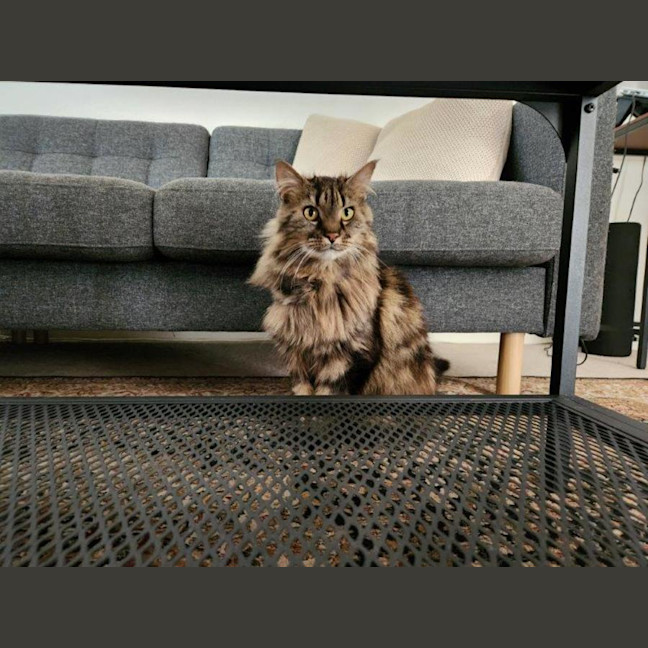 Photo of Molly Lozano