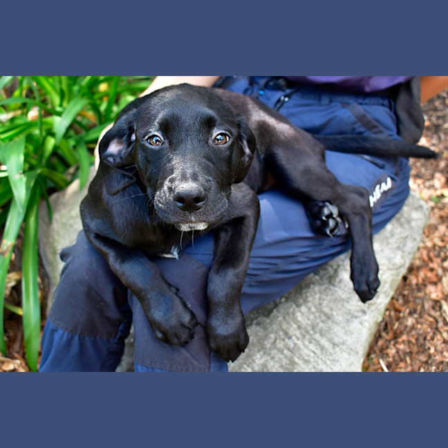 Photo of Madame Squish