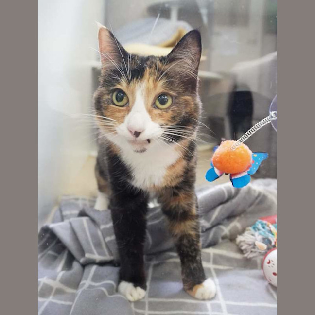 Photo of Kyla