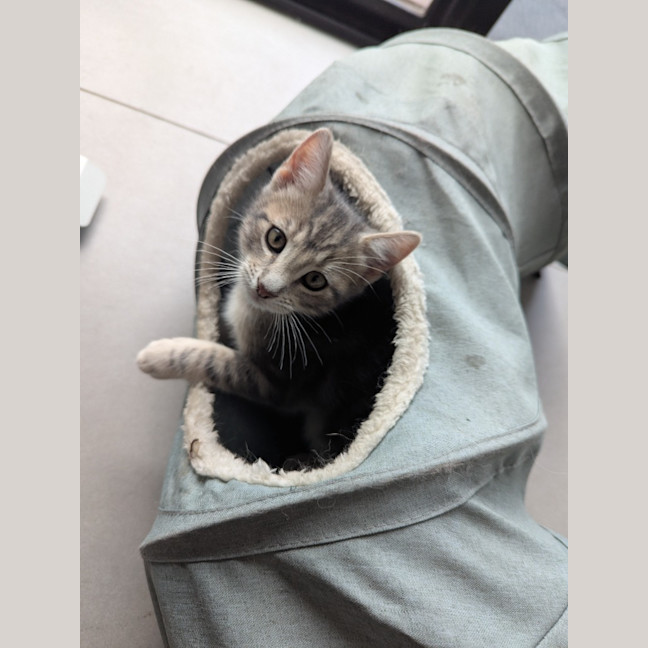 Photo of Hugo Scotty