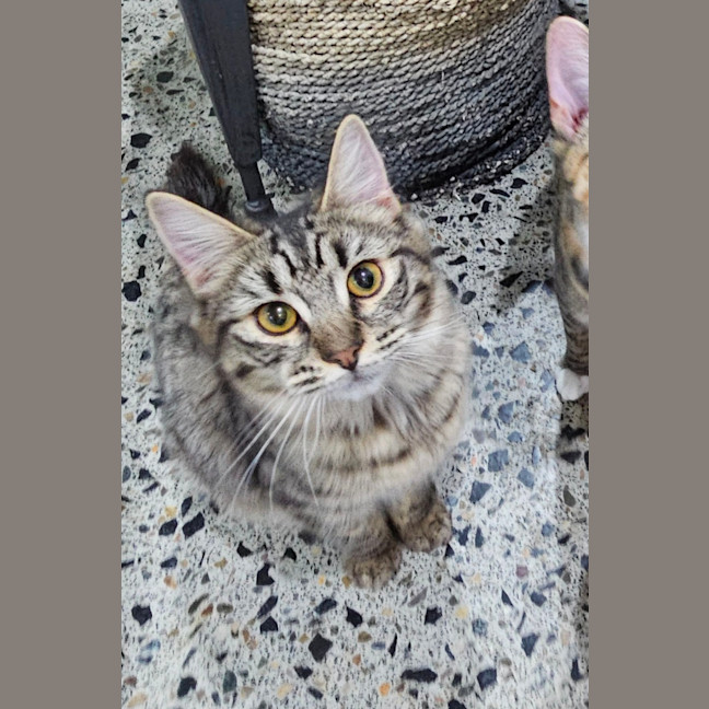 Photo of Bobby Girl