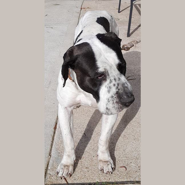 Photo of Xena