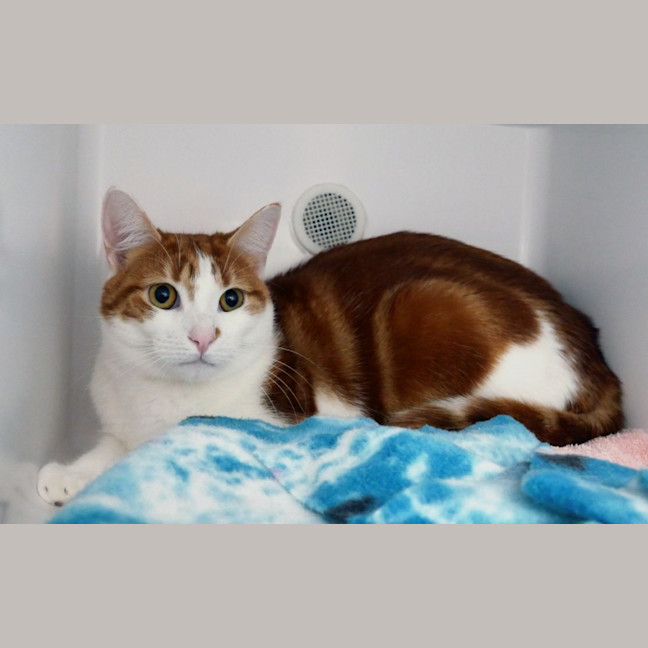 Photo of Sheldon Rsuk013808