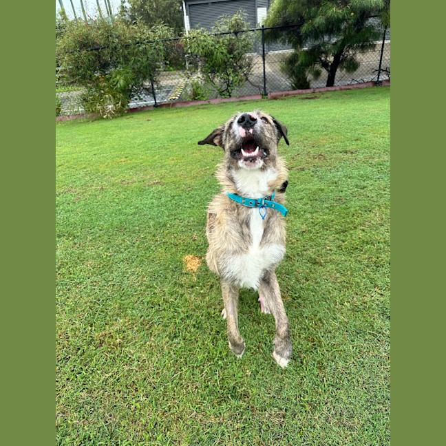 Photo of Turbo