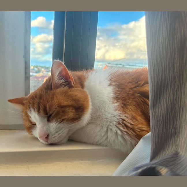 Photo of Charlie 