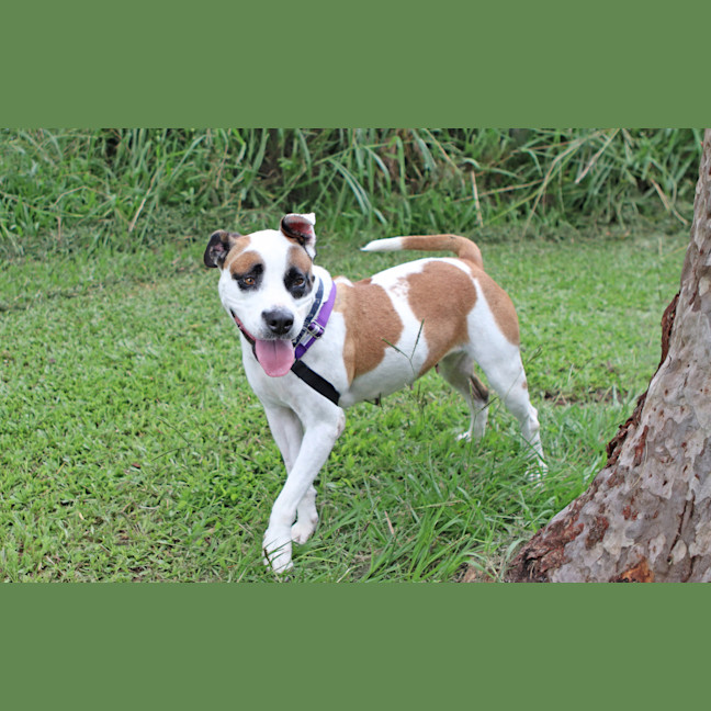 Photo of Maxie