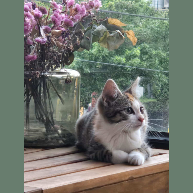 Photo of Moomoo & Bonbon