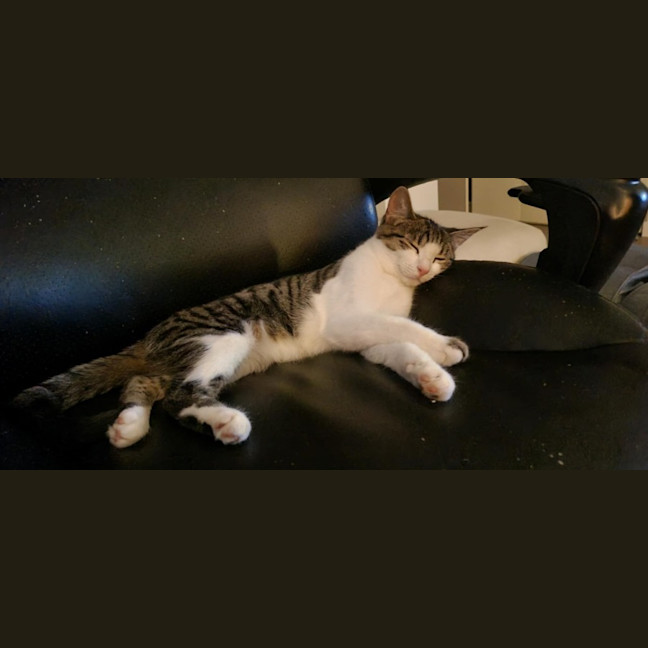 Photo of Luxe