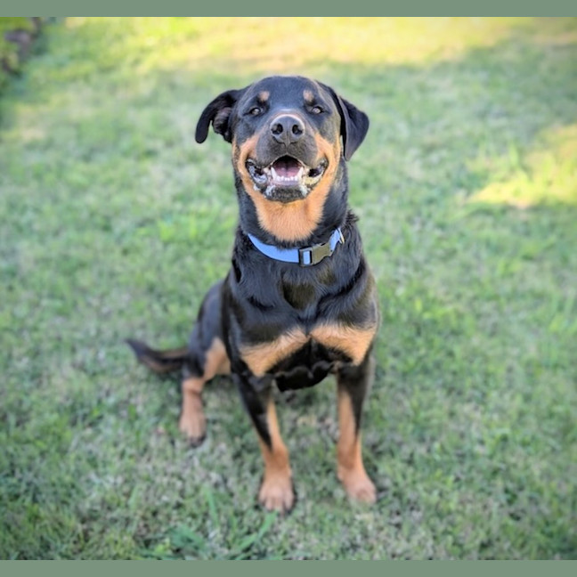 Photo of Max