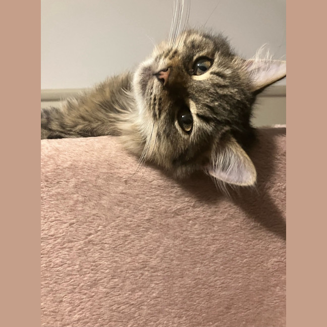 Photo of Kiki