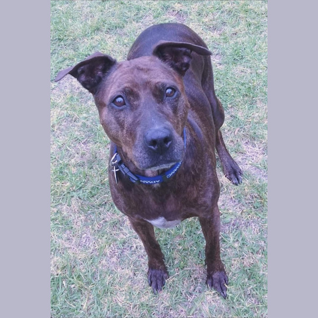 Photo of Jessica Rabbit