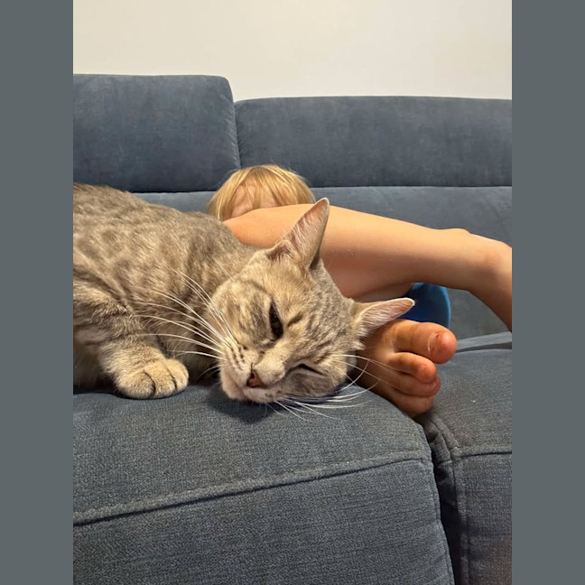 Photo of Nyitti