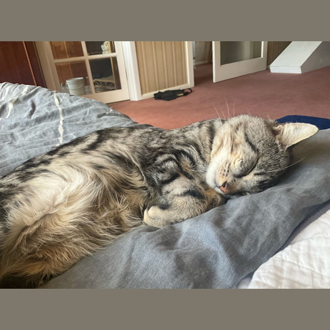 Photo of Larry