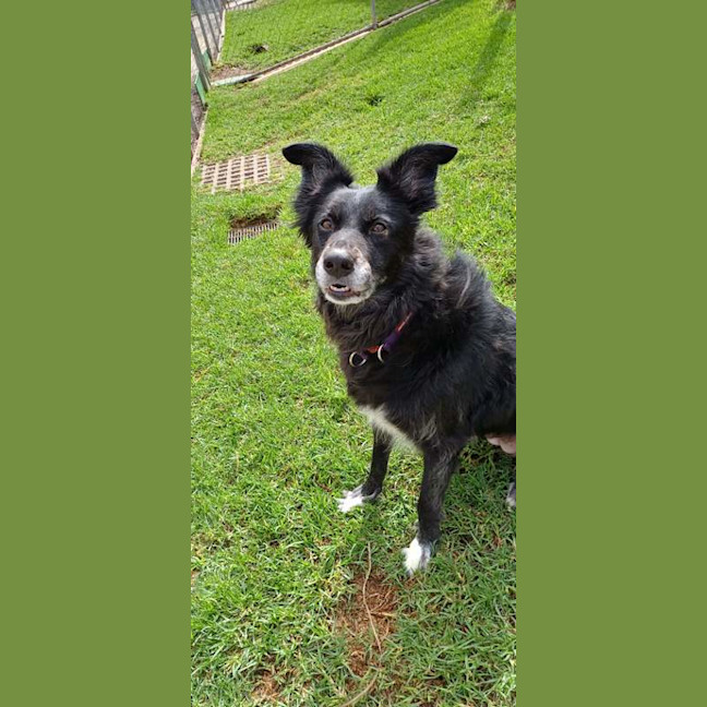 Photo of Sarbi